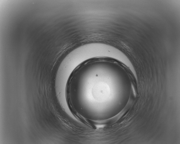 X0000058140552200509302021