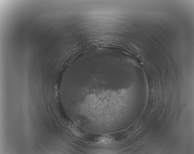 X0000058140555200509302022