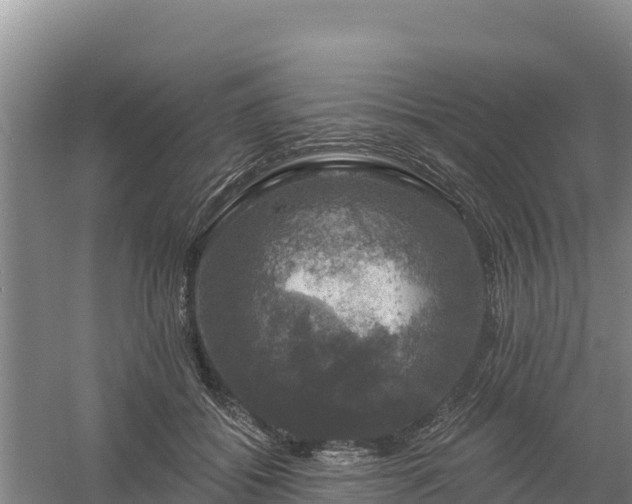 X0000058140556200509302022