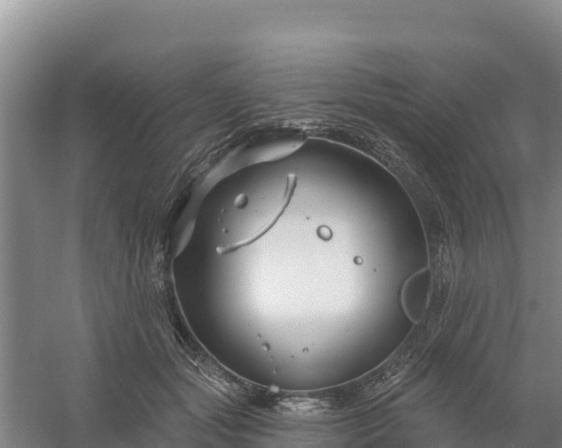 X0000058140557200509302022