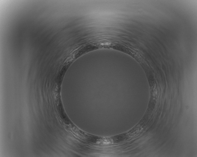 X0000058140559200509302022