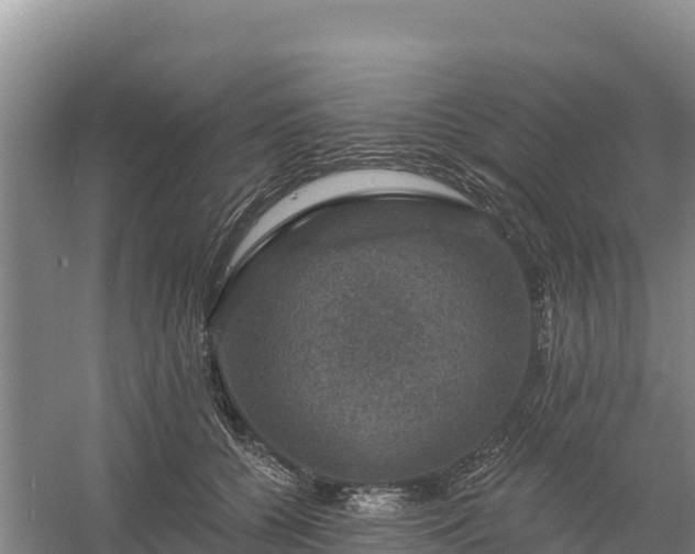 X0000058140560200509302022