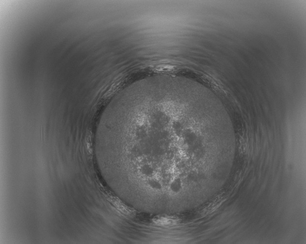 X0000058140561200509302022