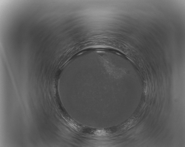 X0000058140562200509302022