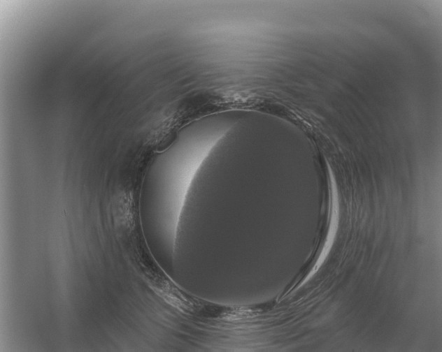 X0000058140563200509302022