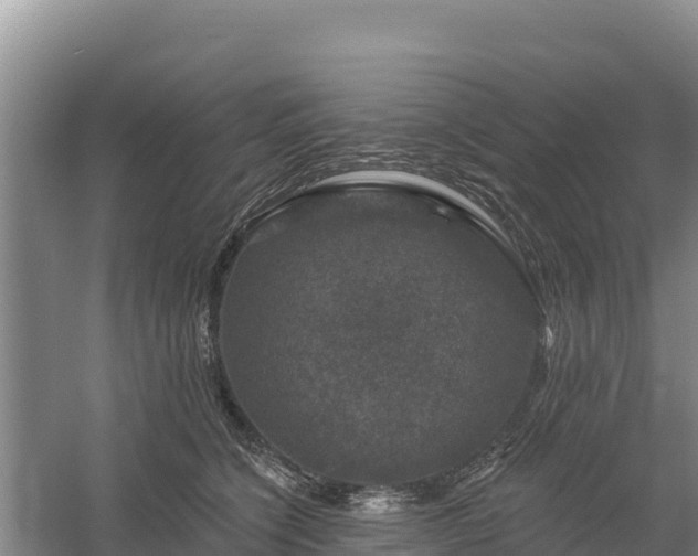 X0000058140564200509302022