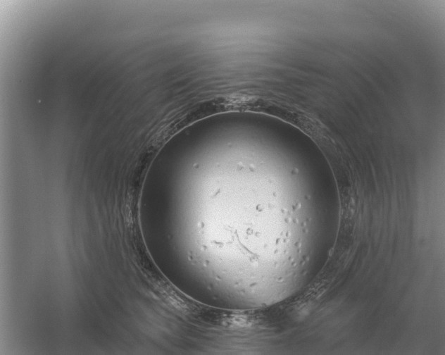 X0000058140565200509302022