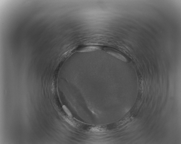 X0000058140568200509302022