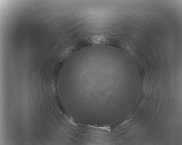 X0000058140569200509302022