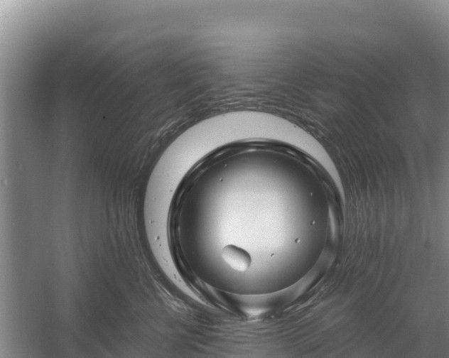 X0000058140570200509302022