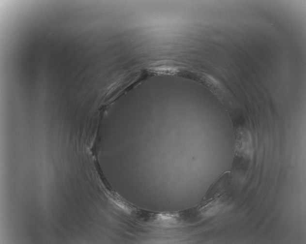 X0000058140573200509302022