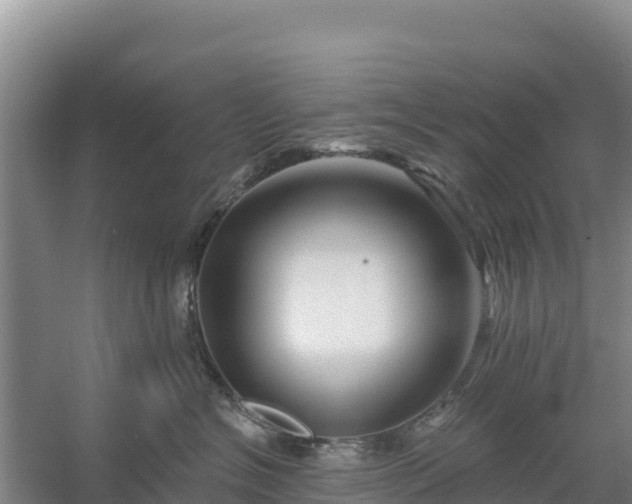 X0000058140574200509302022