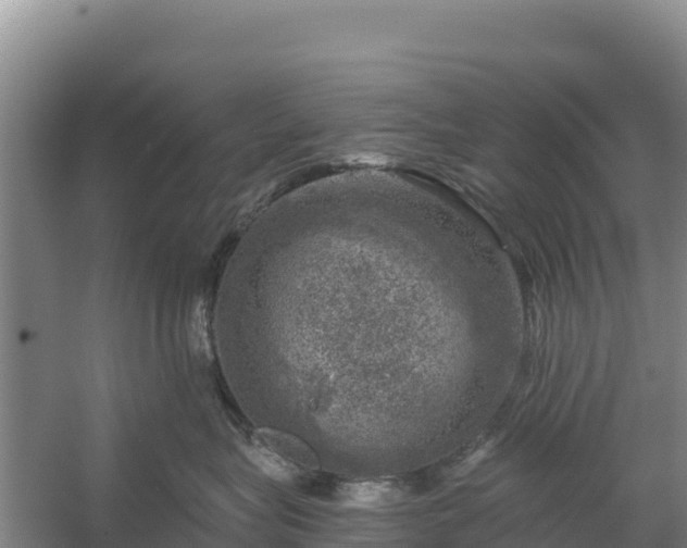 X0000058140575200509302022