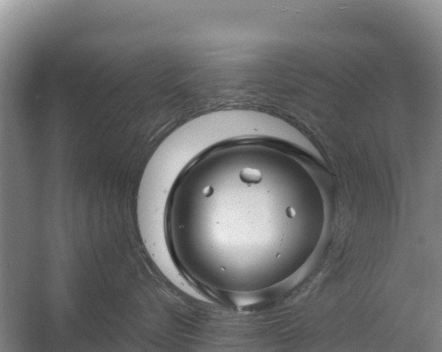 X0000058140576200509302022