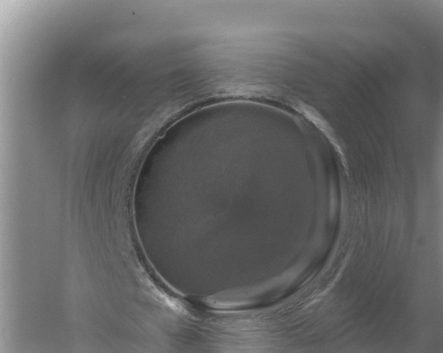 X0000058140577200509302021