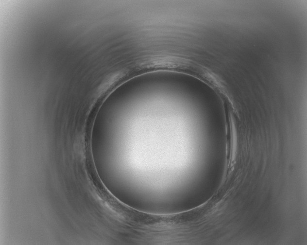 X0000058140578200509302021