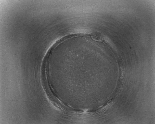 X0000058140580200509302021