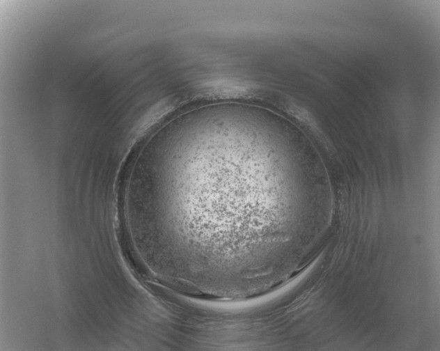 X0000058140582200509302021