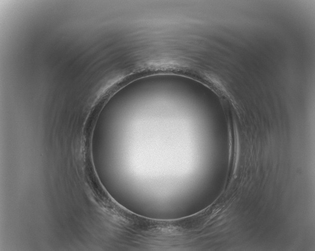 X0000058140583200509302021