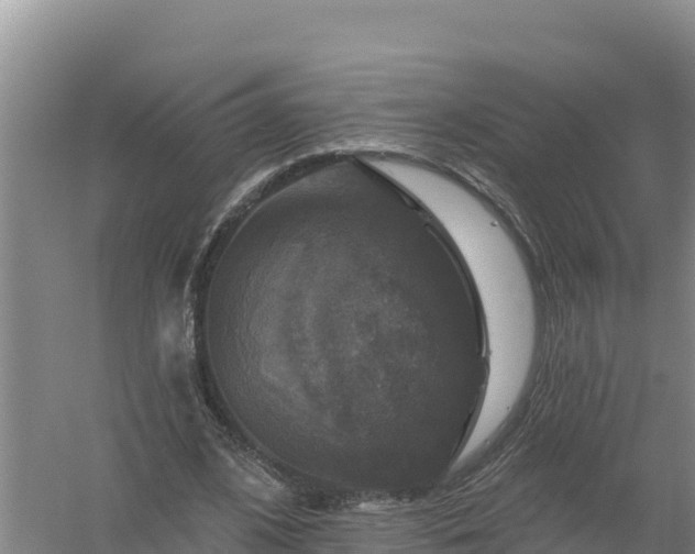 X0000058140584200509302021