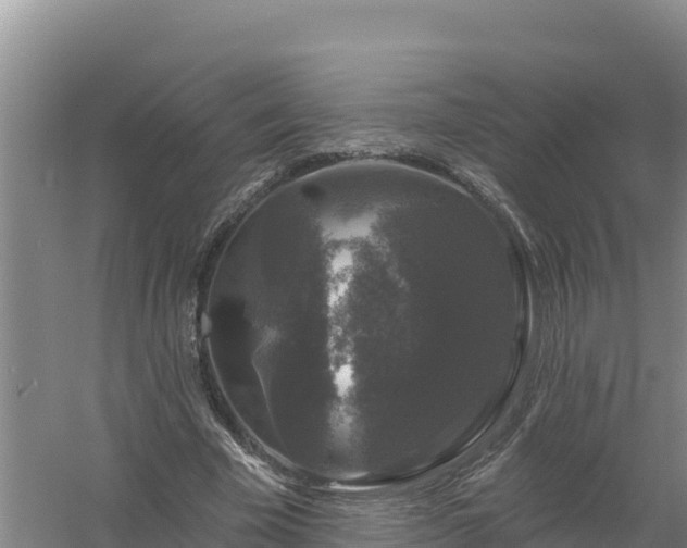 X0000058140585200509302021