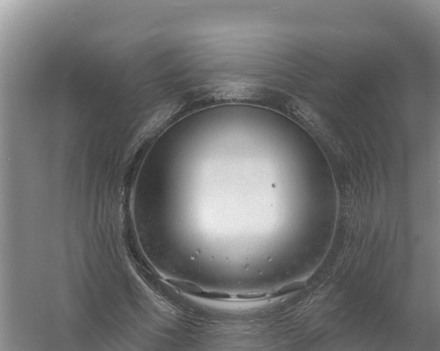 X0000058140586200509302021