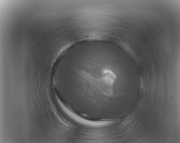 X0000058140588200509302021