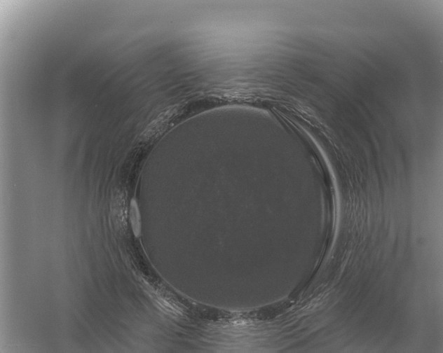 X0000058140593200509302021