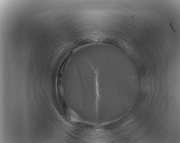 X0000058140594200509302021