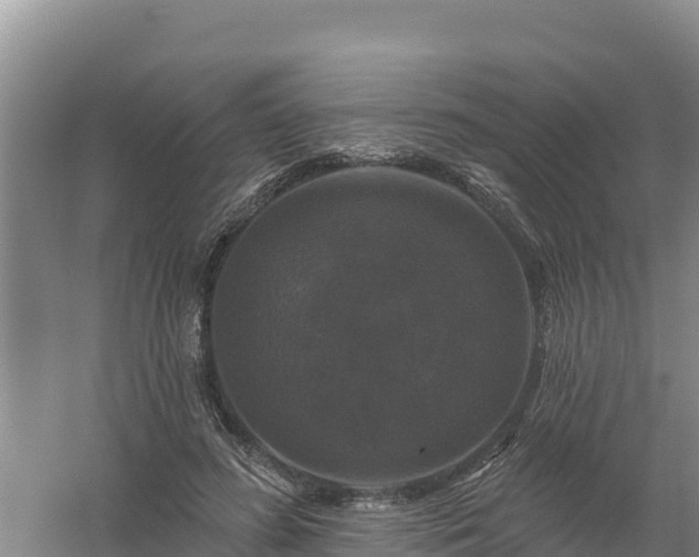 X0000058140596200509302021