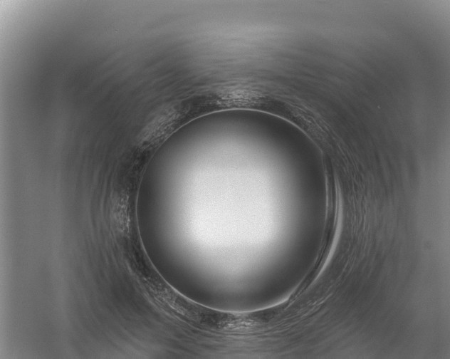 X0000058140599200509302021