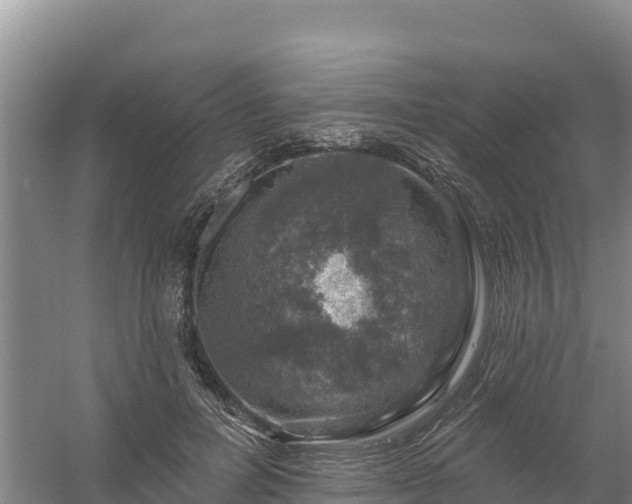 X0000058140600200509302021