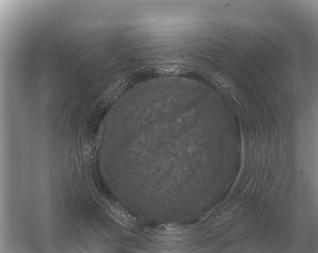 X0000058140601200509302021