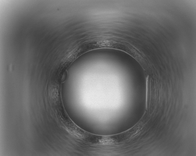 X0000058140603200509302021