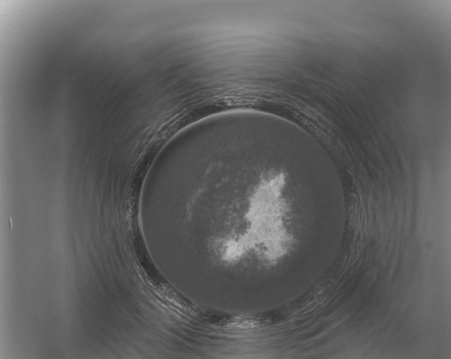 X0000058140604200509302021