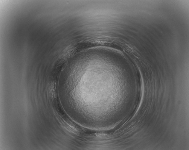 X0000058140605200509302021