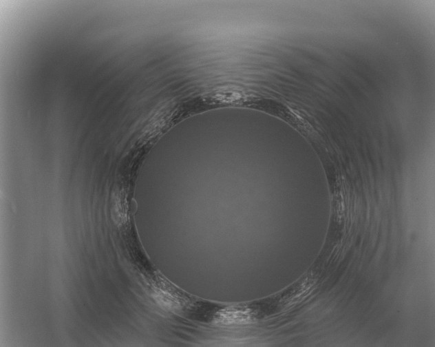 X0000058140606200509302021