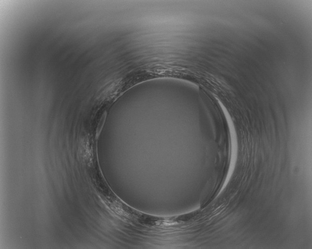 X0000058140607200509302021