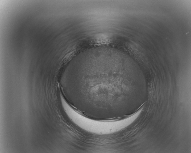 X0000058140608200509302021