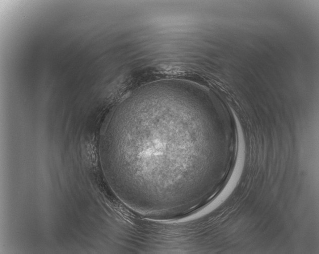 X0000058140609200509302021