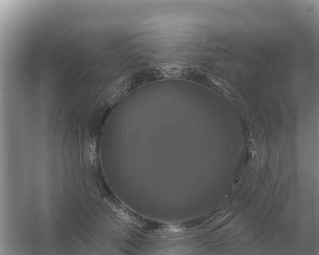 X0000058140610200509302021