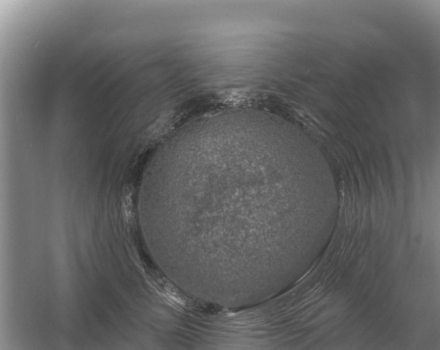 X0000058140611200509302021