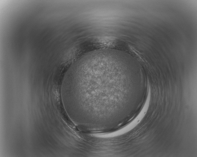 X0000058140613200509302020