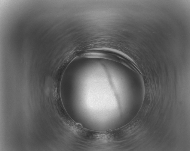 X0000058140615200509302020