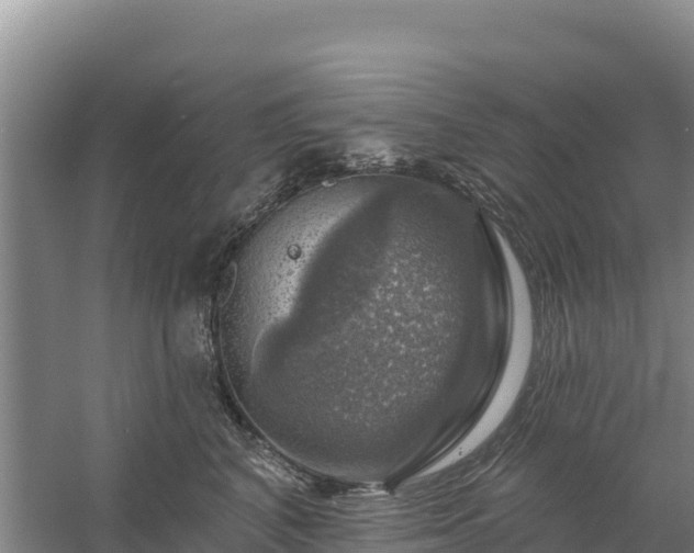 X0000058140616200509302020