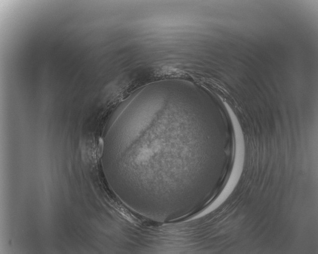 X0000058140617200509302020