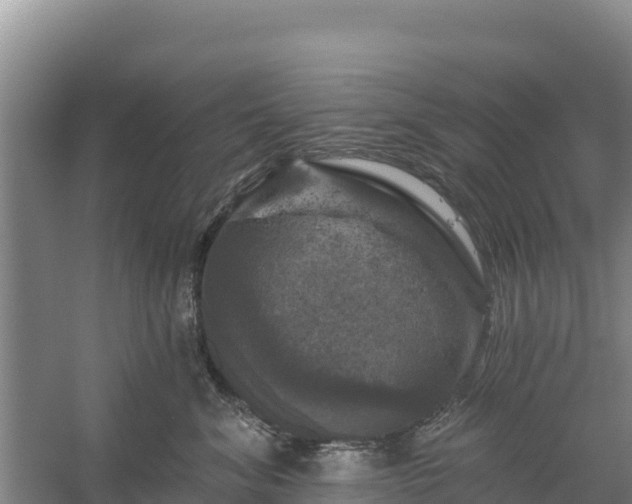 X0000058140620200509302020