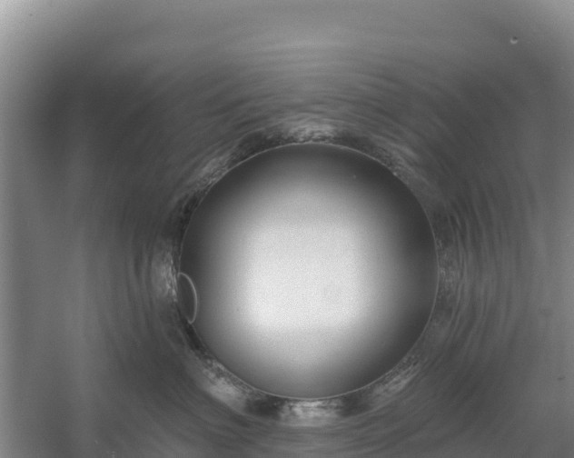 X0000058140622200509302020