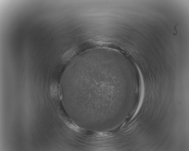 X0000058140623200509302020