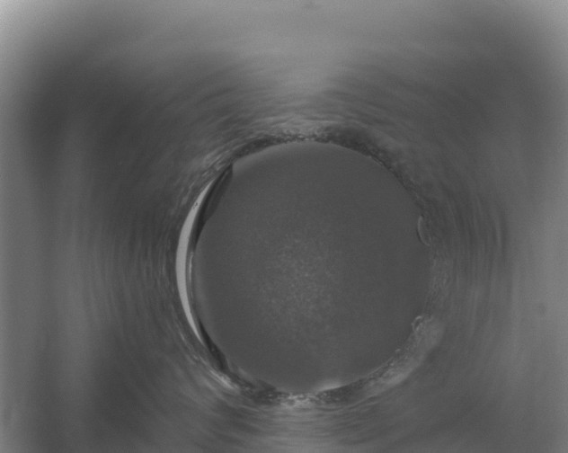 X0000058140624200509302020